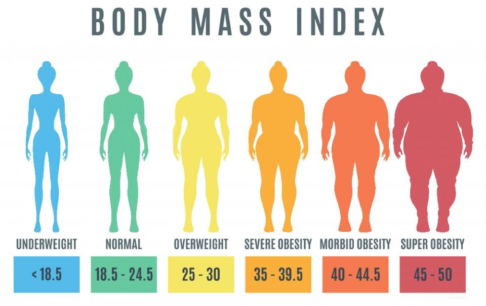 BMI CALULATOR NBC